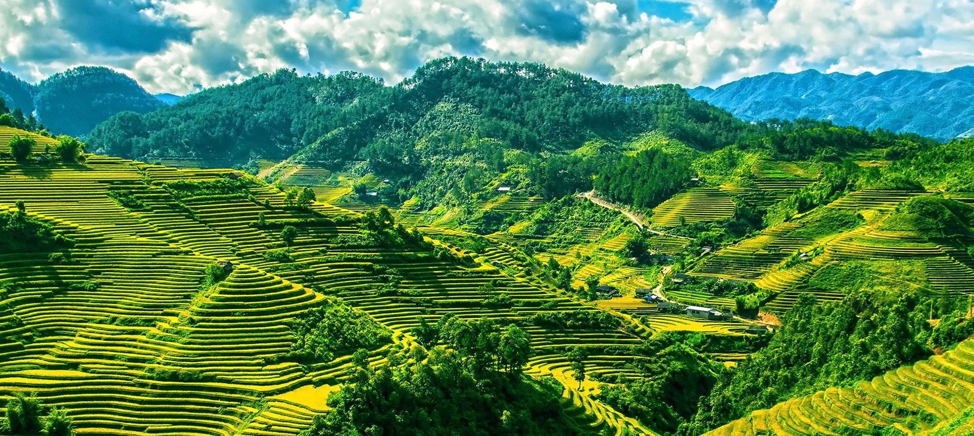 Rice-terraces-Mu-Cang-Chai—Yen-Bai—Vietnam