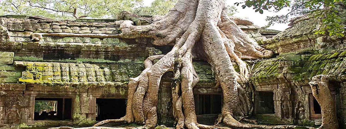 Cambodia Tours